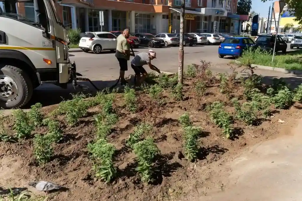 У Полтаві ліквідували стихійне сміттєзвалище та висадили зелені насадження
