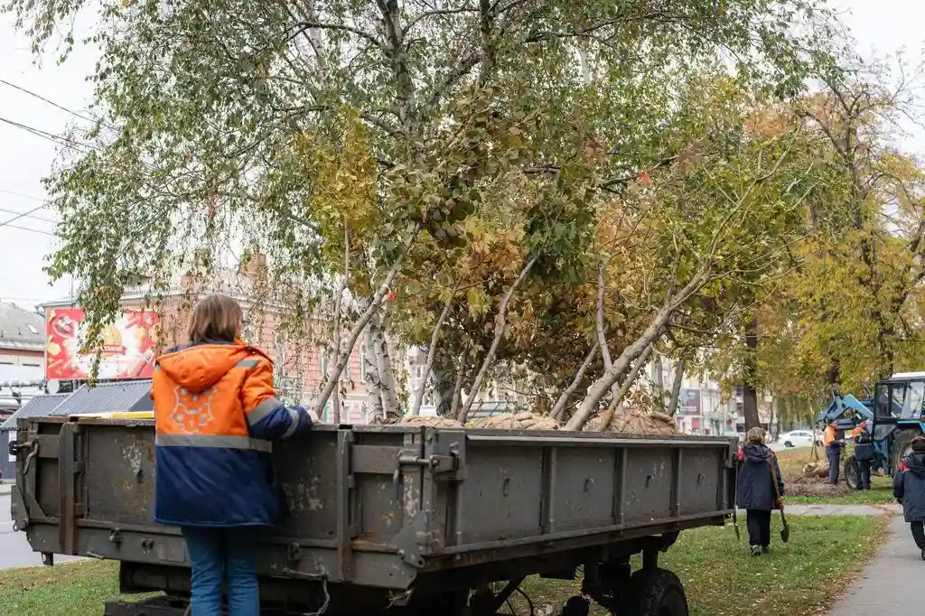 У Полтаві продовжується осіння висадка дерев та квітів