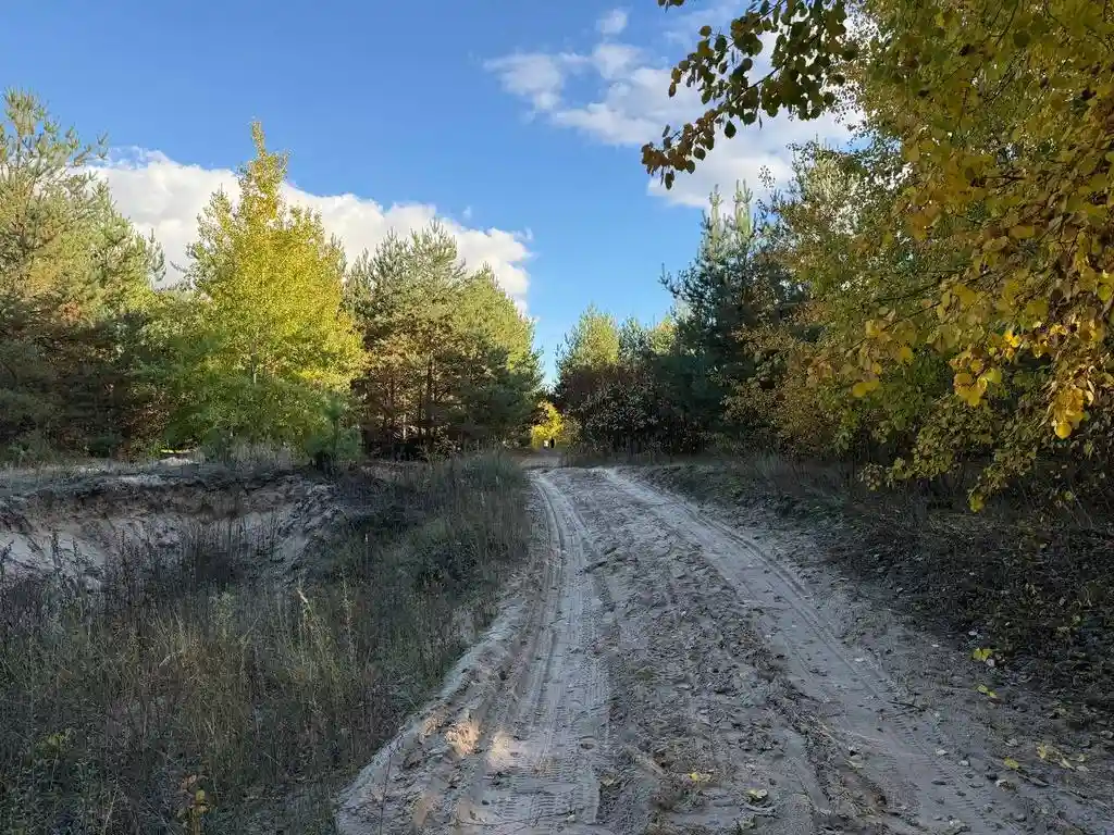 Прогноз погоди на Полтавщині з 17 по 21 жовтня: дощі, вітер і невелике потепління