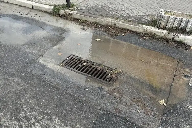Полтаву попереджають про можливі підтоплення через сильні дощі
