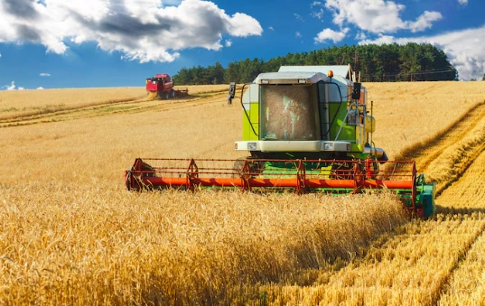 Аграрії Полтавщини зібрали понад 1,4 млн тонн кукурудзи та успішно просувають урожай сезону