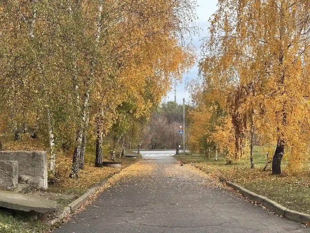 Хмарно та дощі: прогноз погоди на Полтавщині на вихідні та початок тижня