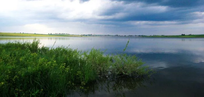 У Миргороді виявили тіло жінки у водоймі