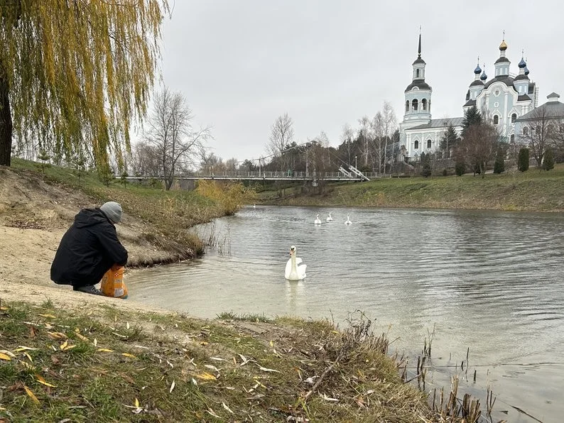 Ветлікар з Горішніх Плавнів рятує диких тварин: центр реабілітації, що дає шанс на життя