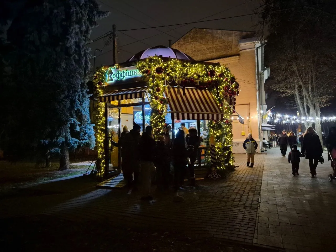 Полтава засяяла святковим світлом: увімкнули головну ялинку