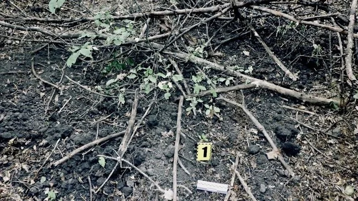 На Полтавщині засудили спільника у жахливій справі вбивства жінки