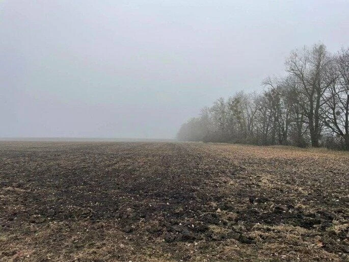 Завершення збору врожаю на Полтавщині: аграрії демонструють стійкість у важких умовах війни