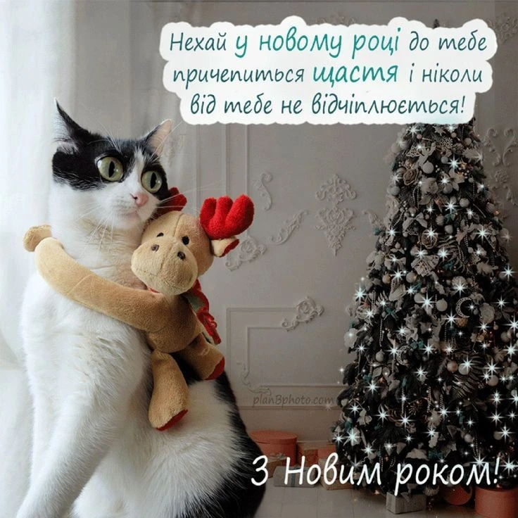 Смішні привітання з новим роком 2026