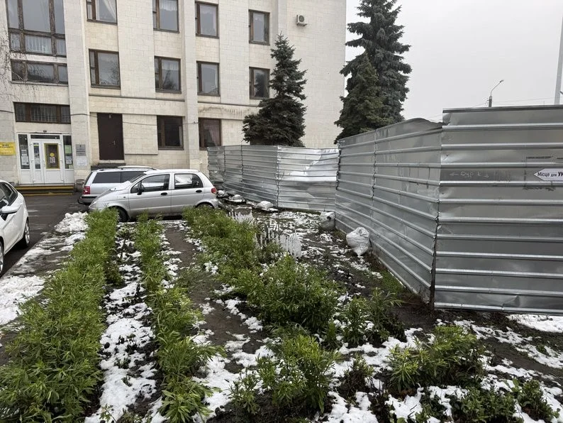 Реконструкція простору біля Полтавської бібліотеки: фонтан та зона для відпочинку можуть бути завершені у 2026 році