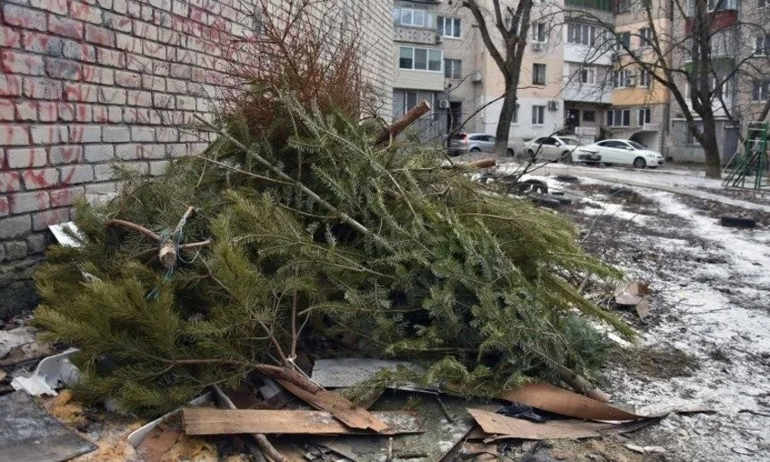 Як утилізувати новорічні ялинки у Полтаві: покрокова інструкція для мешканців