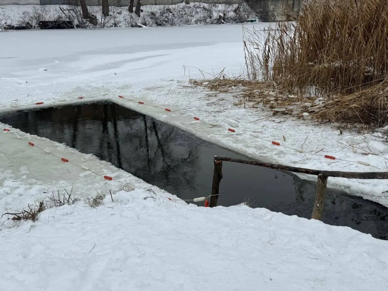 Водохреща в Полтаві: молитва, занурення в ополонку та благословення води
