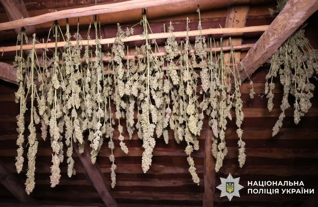 Справу зіньківської наркогрупи з мільйонними прибутками передали до суду