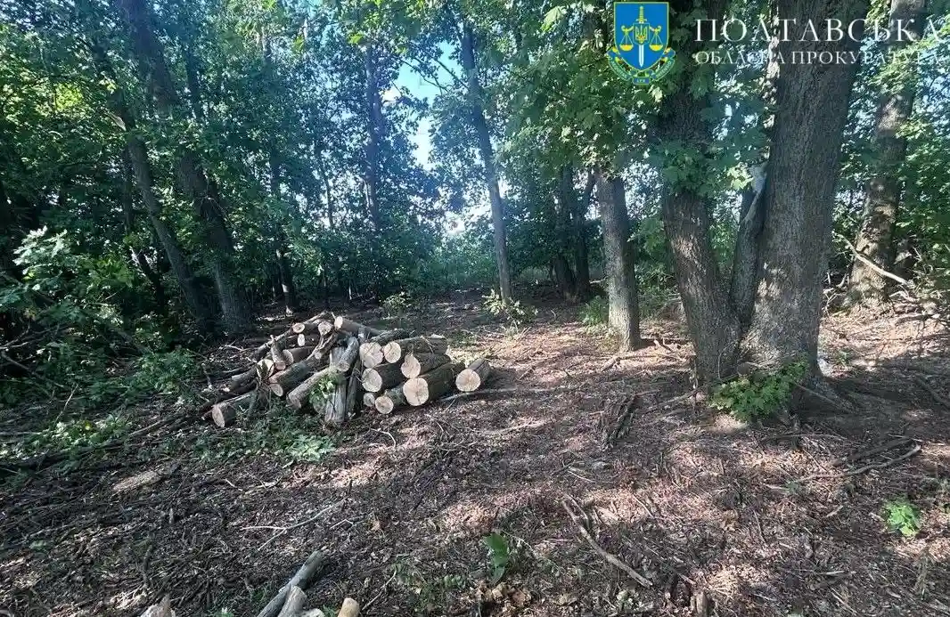 Захист природи на Полтавщині: 132 кримінальні справи та понад 100 мільйонів гривень відшкодувань