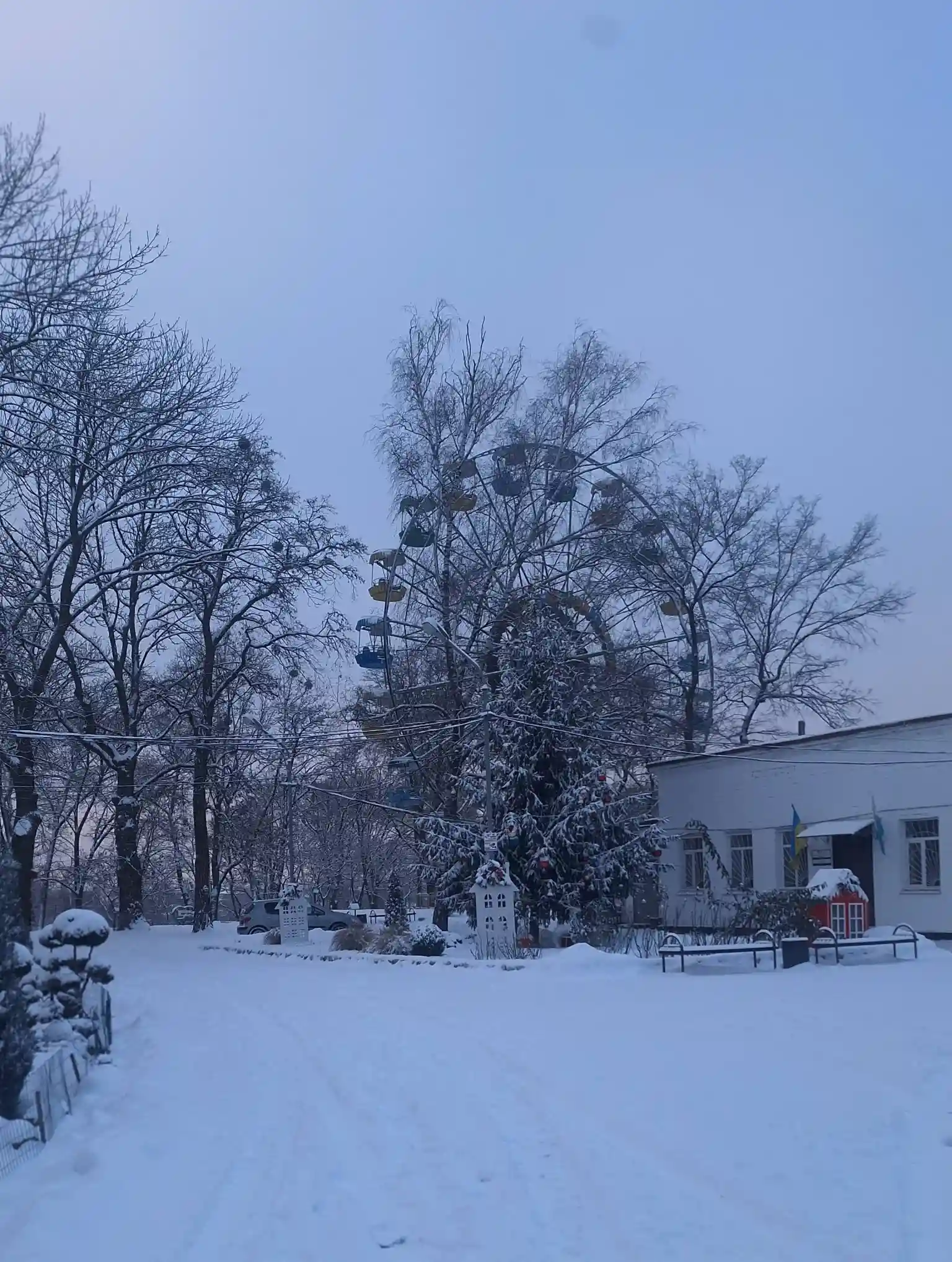 Зимова казка у парку “Перемога”: де спокій і гармонія з природою