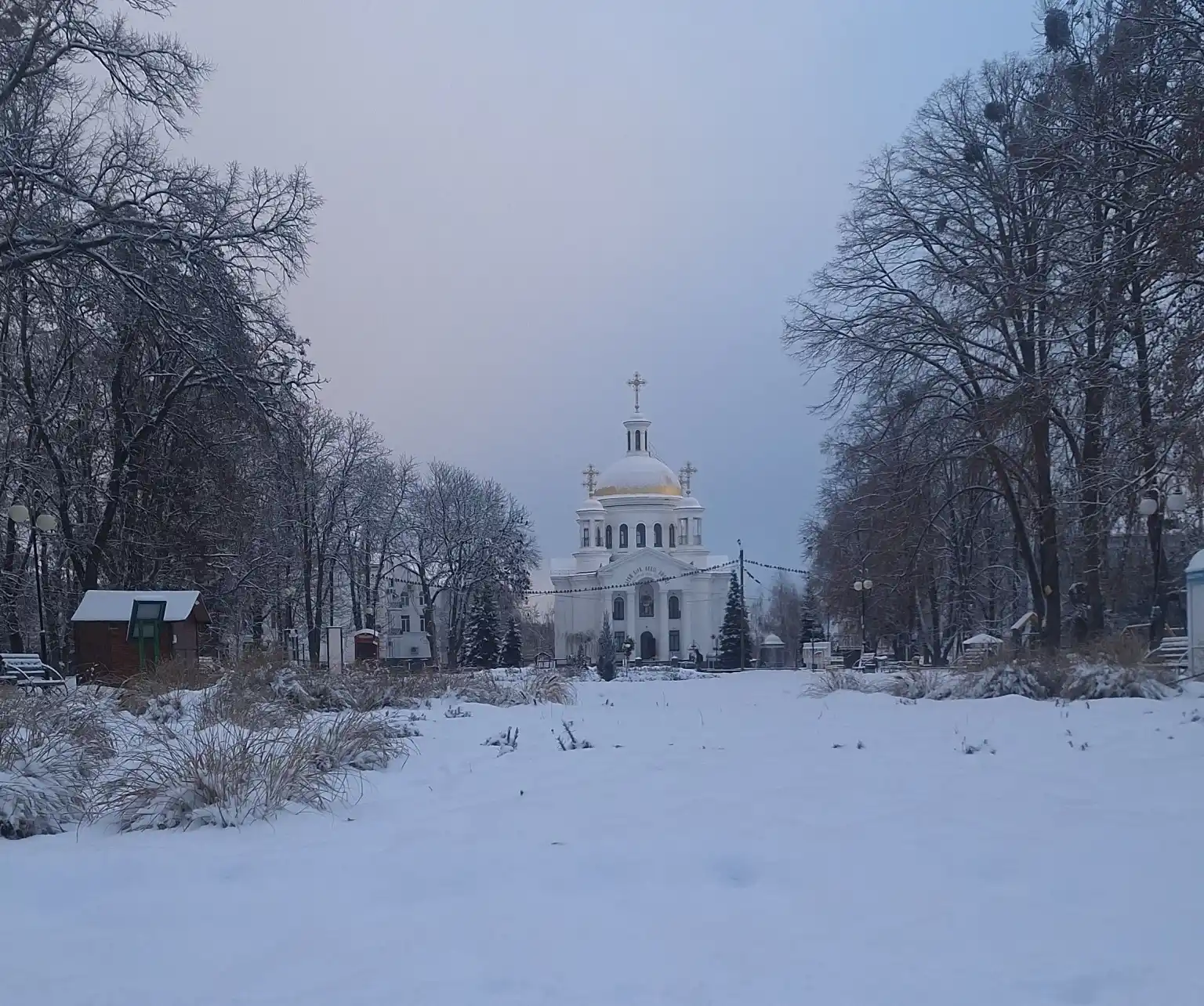 Зимова казка у парку “Перемога”: де спокій і гармонія з природою