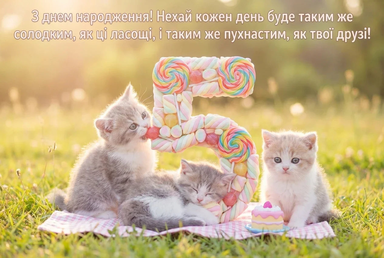 з днем народження 5 років