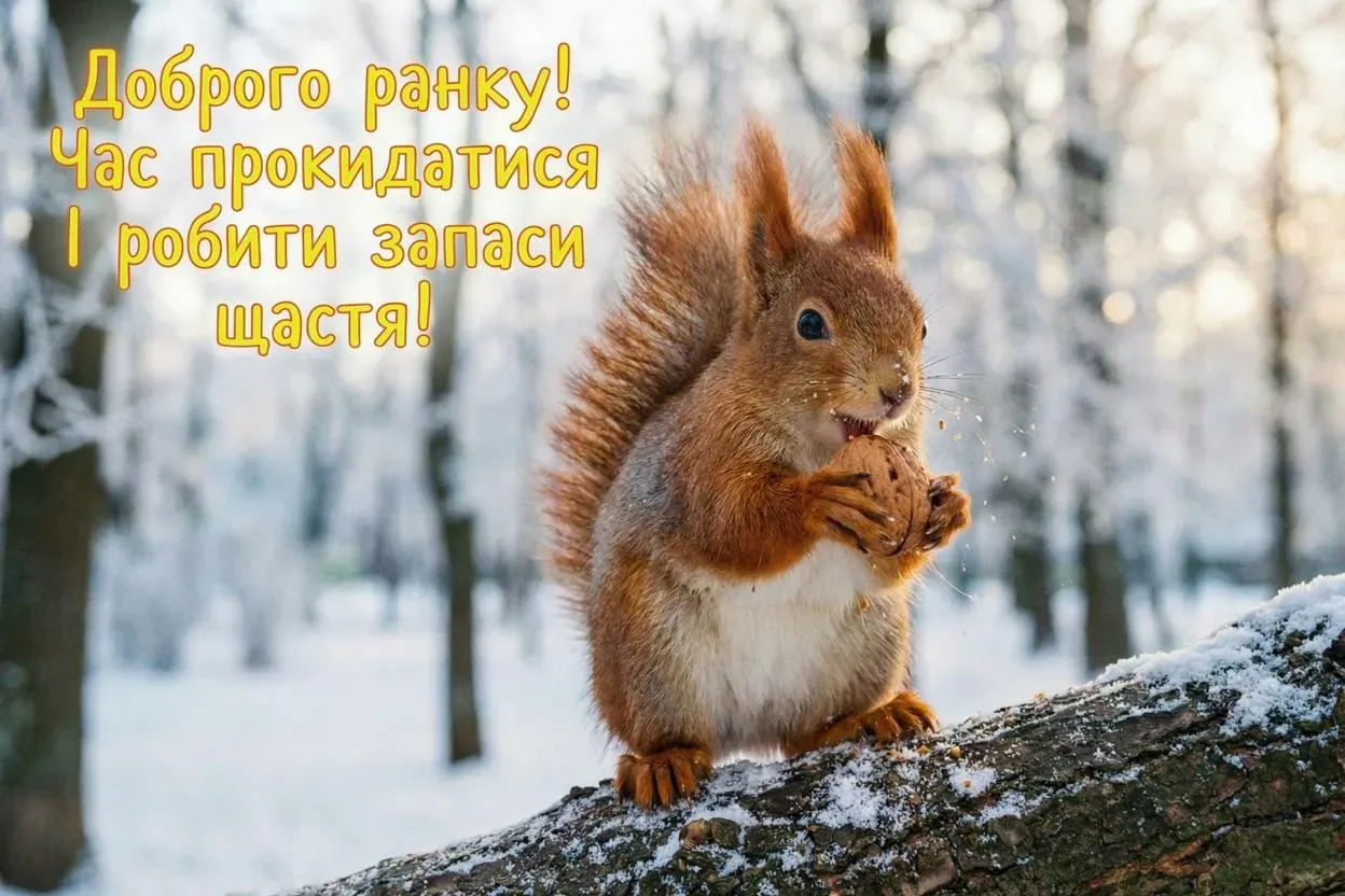 Доброго зимового ранку: 25 щирих картинок для вітань