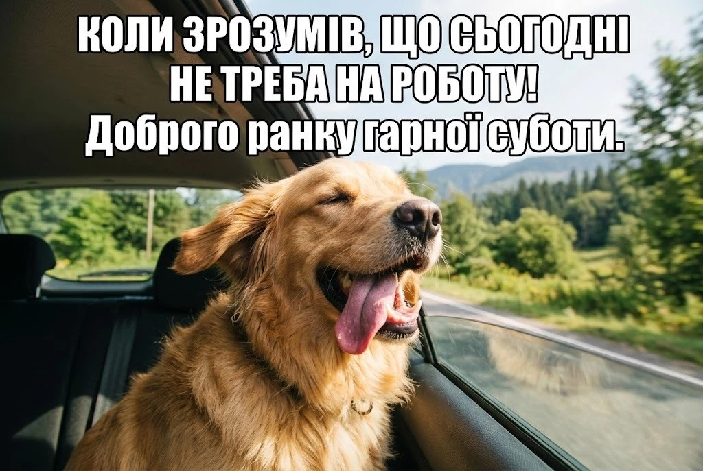 Доброго ранку, гарної суботи: душевні вітання та красиві листівки для вихідного дня