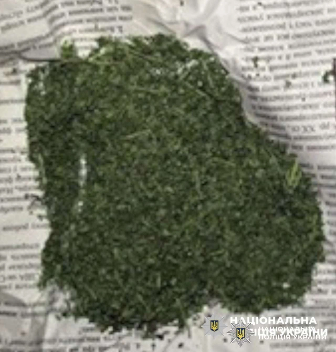 Поштовий трафік канабісу до Полтавського СІЗО: поліція знешкодила групу з чотирьох осіб