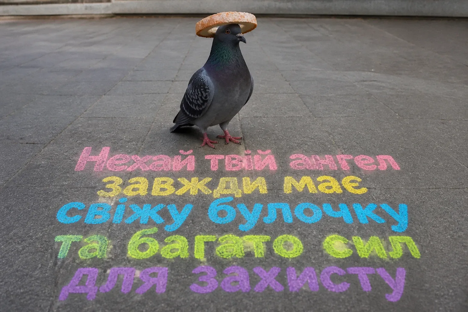 з днем ангела світланочка з днем ангела світланочка